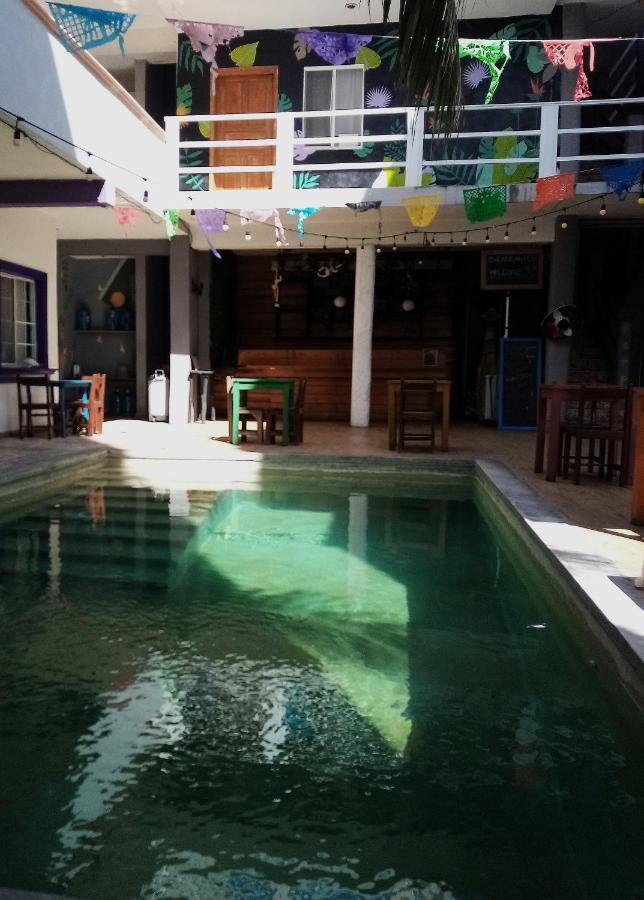 Les Trois Singes - Friendly Hostel Isla Mujeres Dış mekan fotoğraf