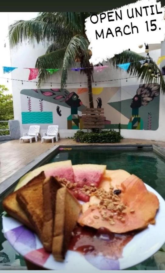 Les Trois Singes - Friendly Hostel Isla Mujeres Dış mekan fotoğraf